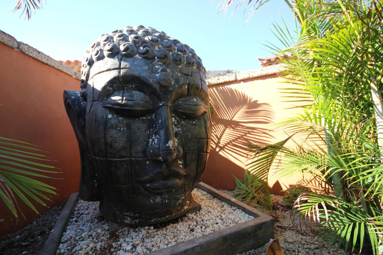 Villa Jardin De Buda أرونا المظهر الخارجي الصورة
